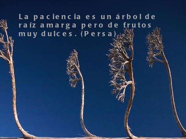 La portaveu del Sindicat, Rebeca Bonache.