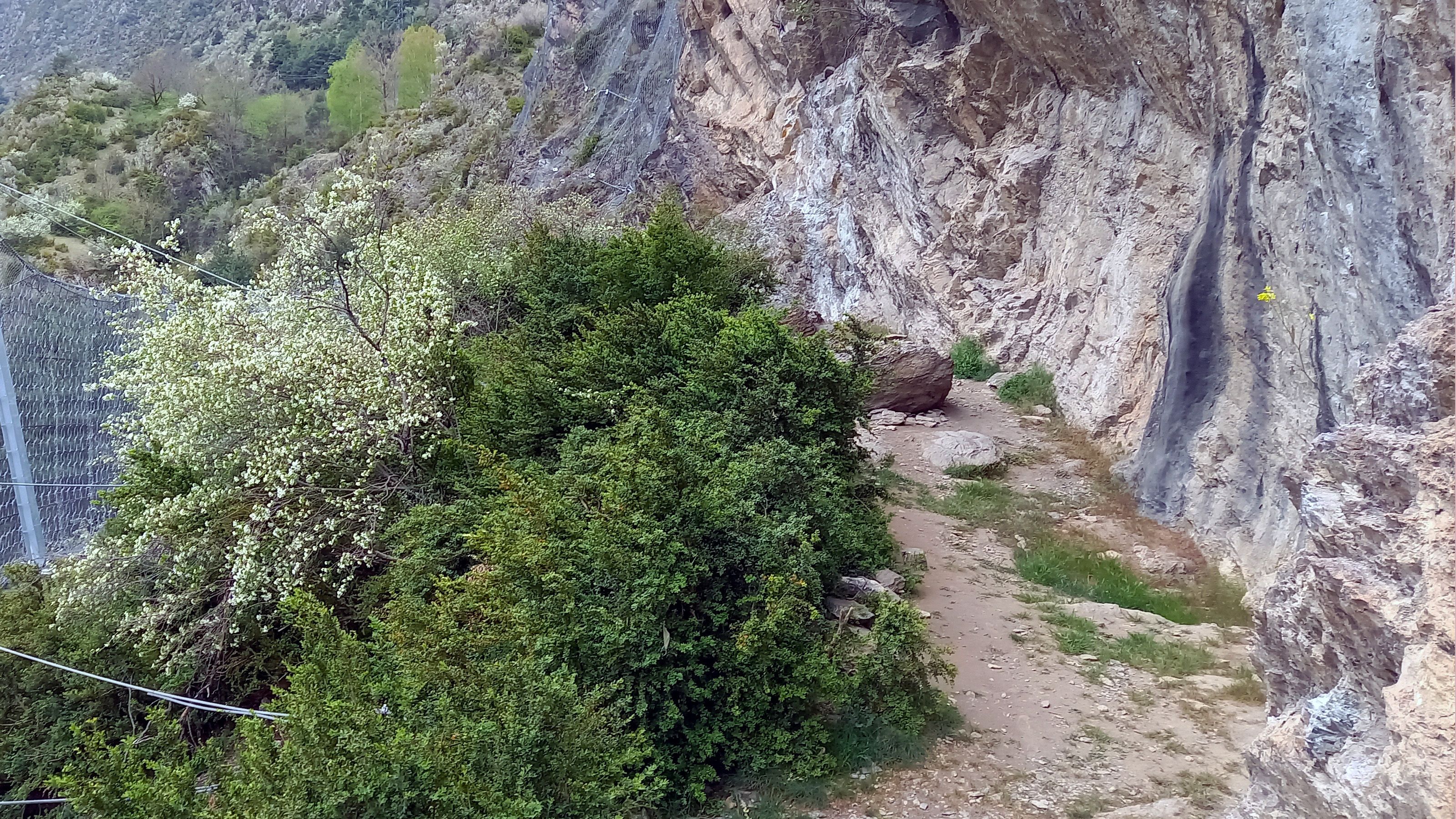 El jaciment de la Balma del Llunci.