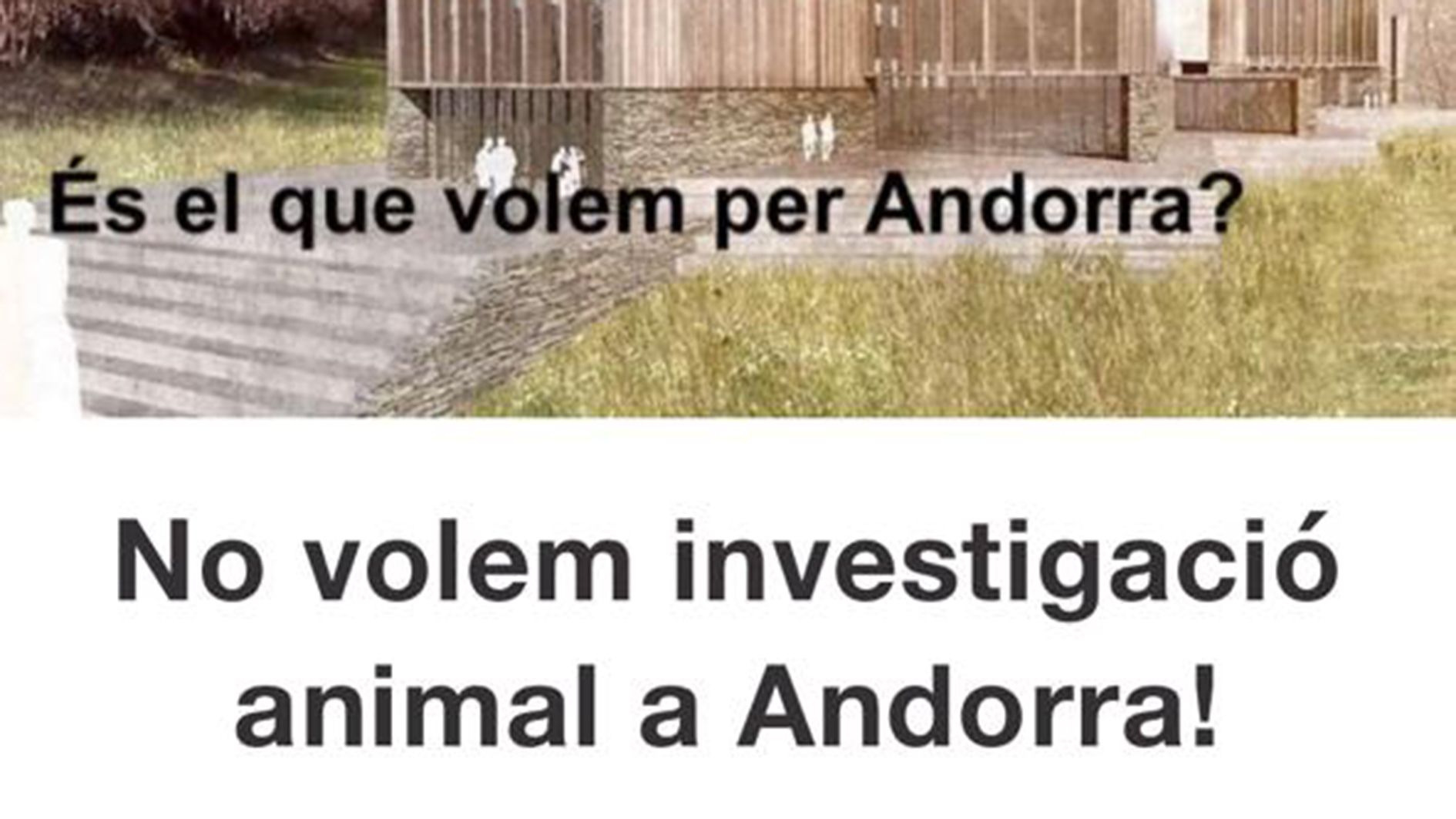 Imatge de la campanya.