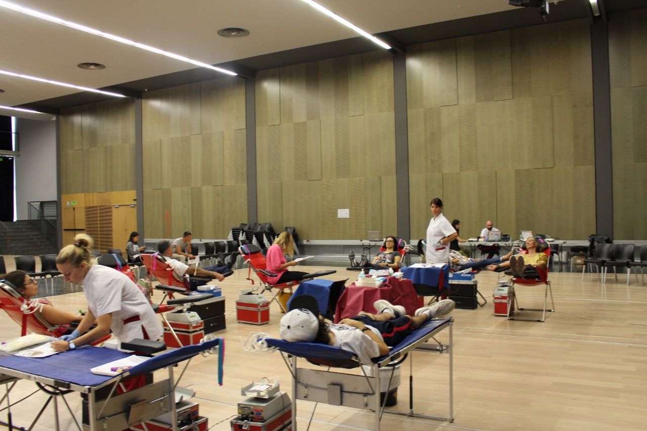 Una de les col·lectes d'aquest any. Una de les col·lectes d'aquest any.