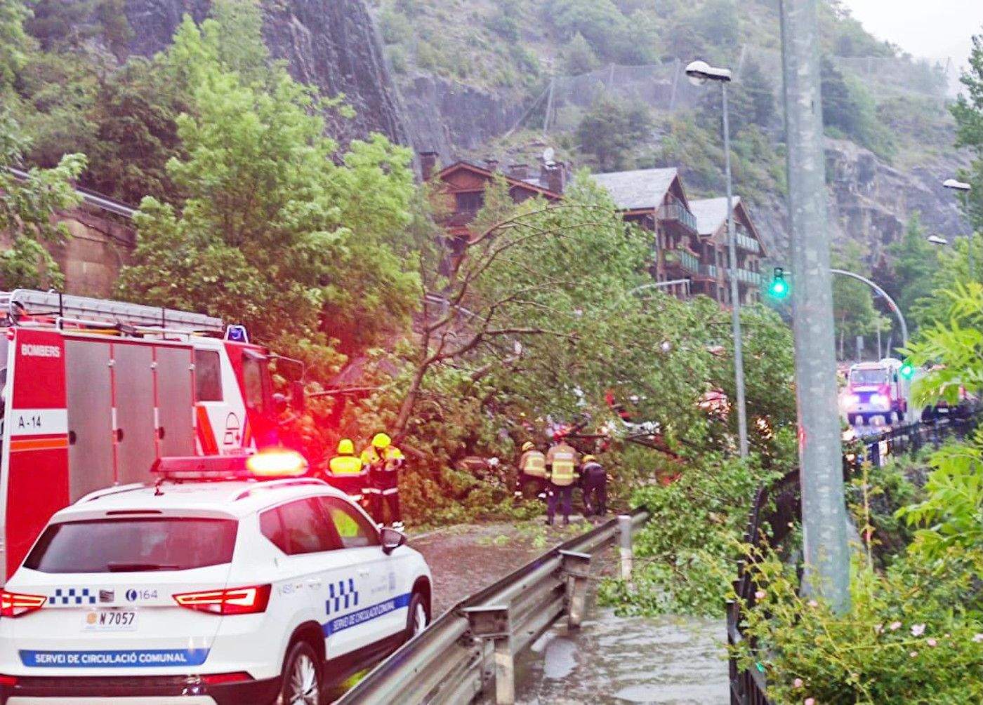 Els bombers treballen per intentar retirar l'arbre caigut.