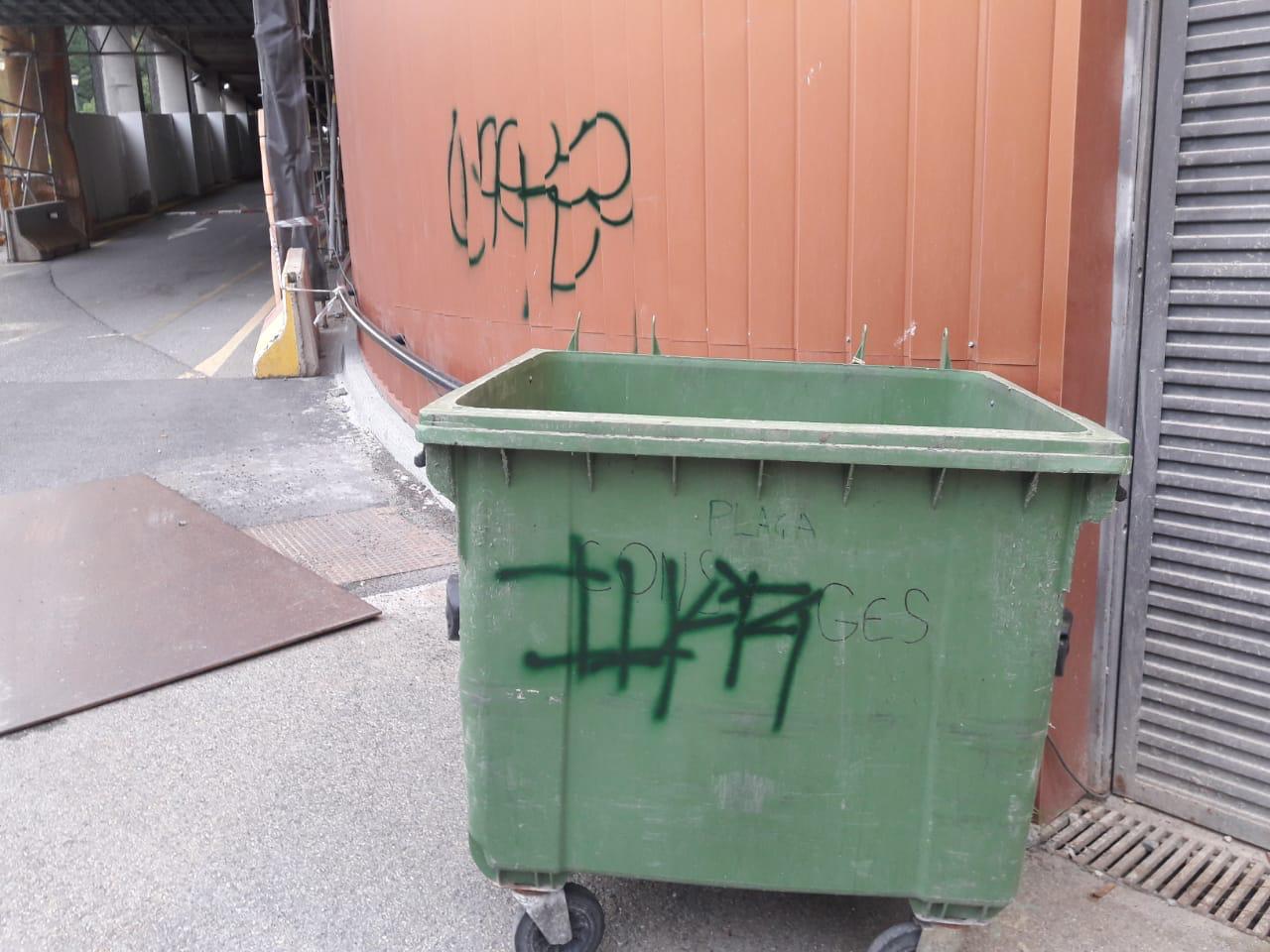 Algunes de les pintades aparegudes dijous al matí.