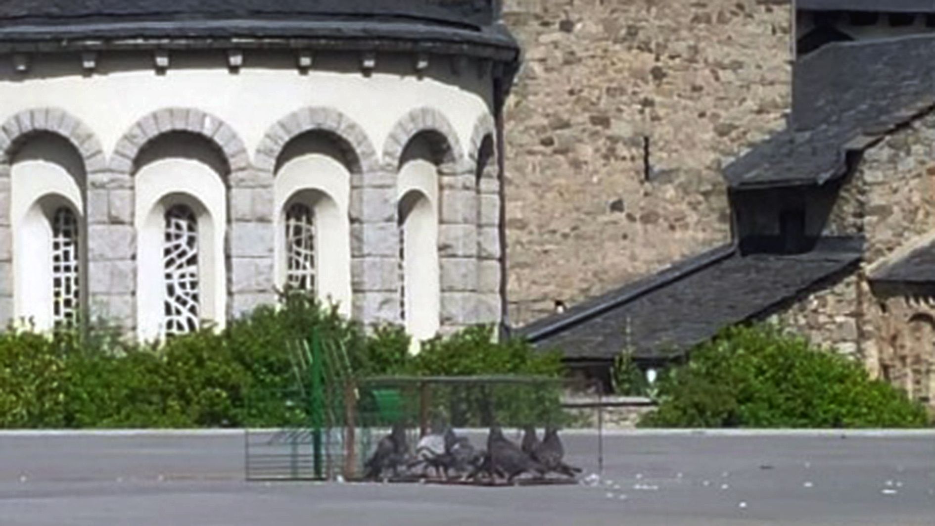 Una de les gàbies col·locades aquesta setmana a la zona de la Plaça del Poble.