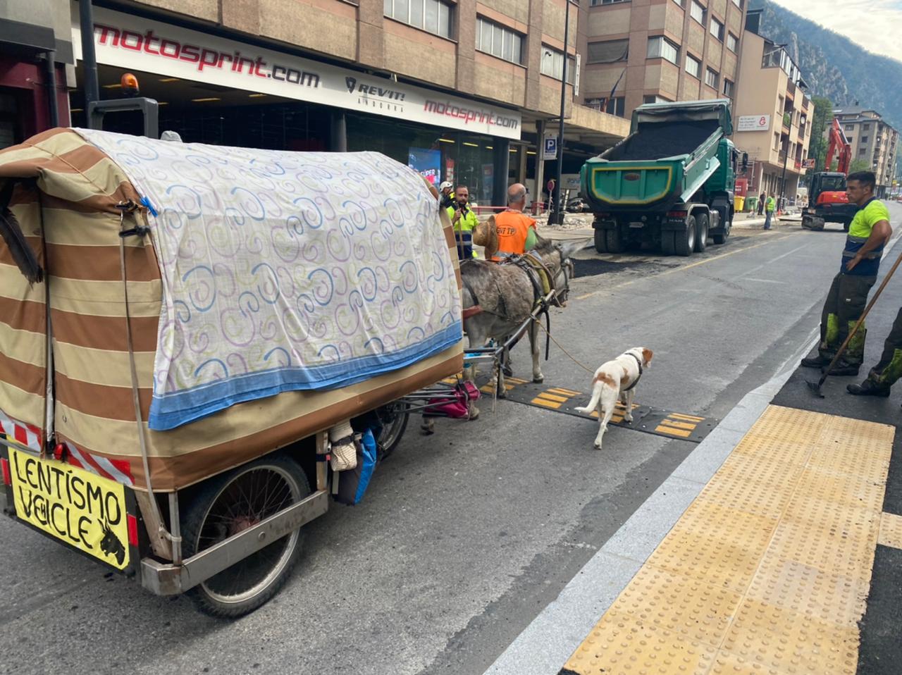 El carruatge amb el ruc i el gos que juntament amb el propietari formen part del 'comboi'.