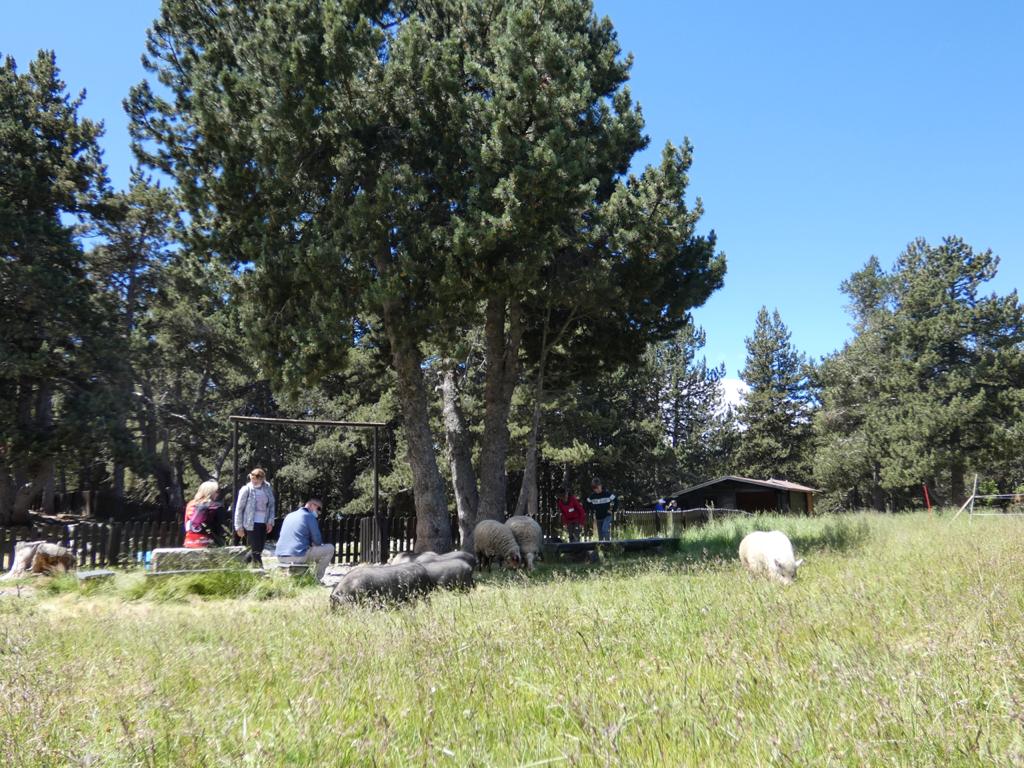 Els animals de granja es mantindran a Naturland, amb una aula de natura al seu voltant. La portaveu del Sindicat, Rebeca Bonache.