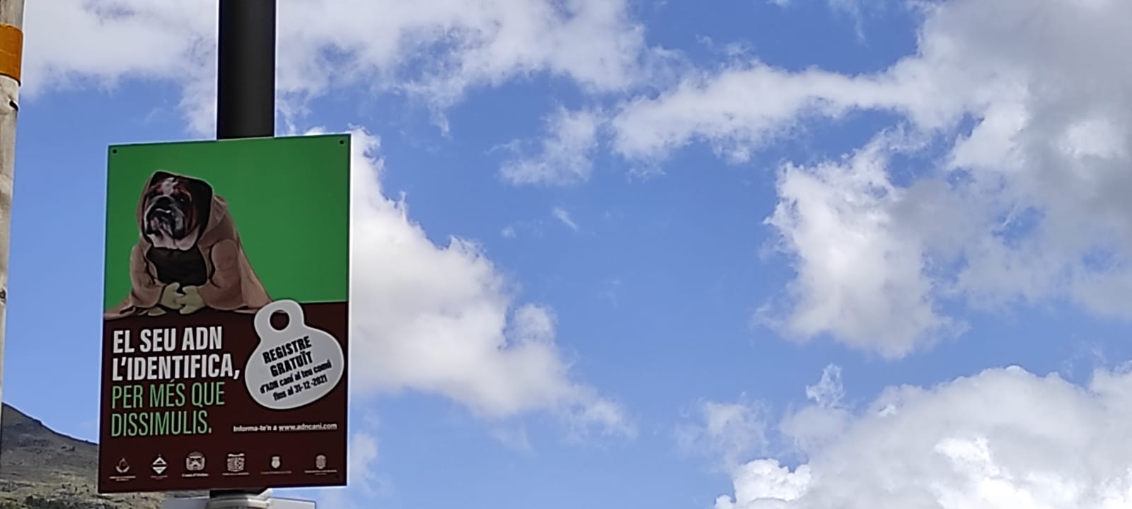 Un dels anuncis de la campanya per fomentar les mostres d'ADN als gossos.