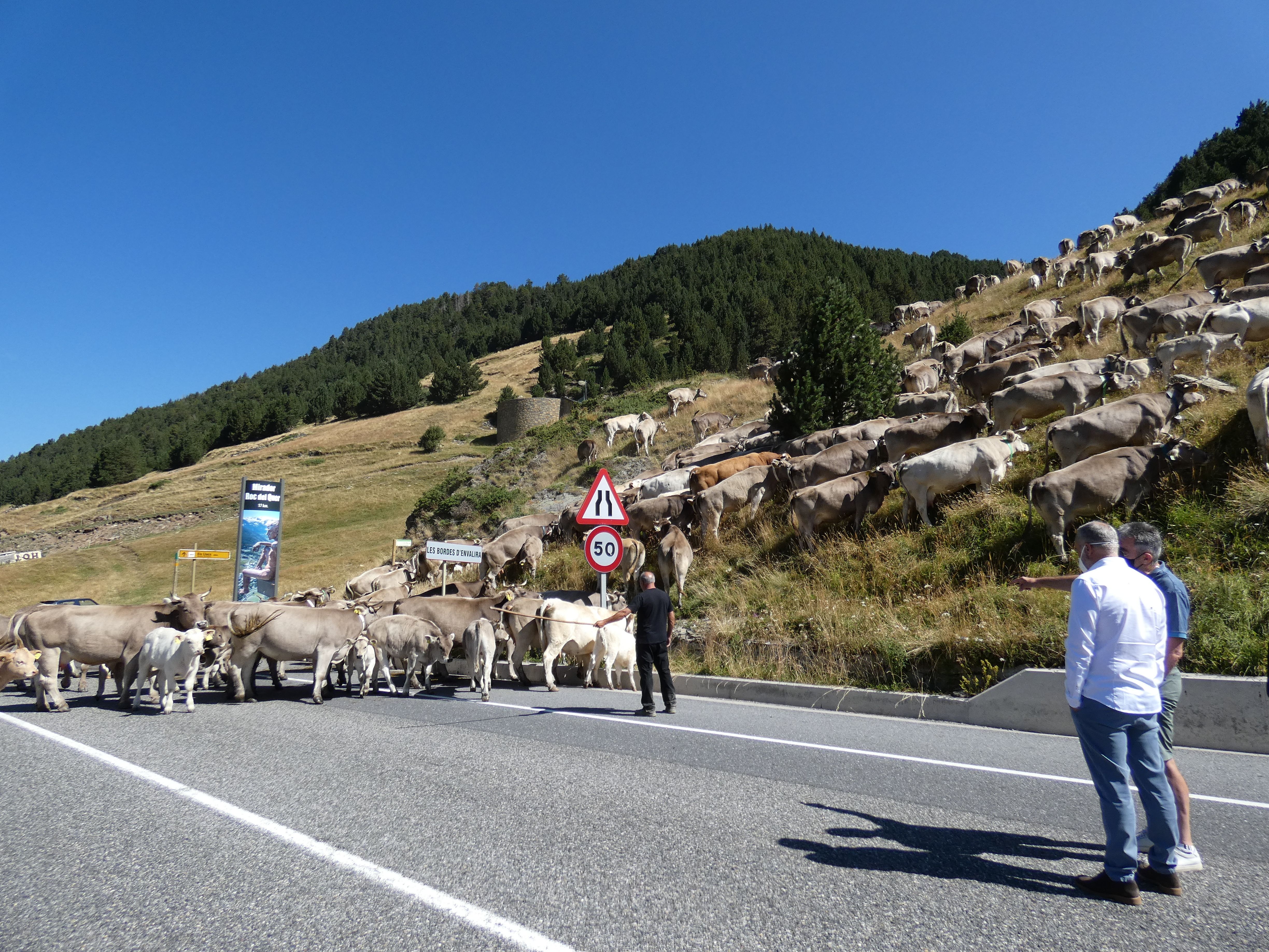 Foto 20 8 21 11 42 17