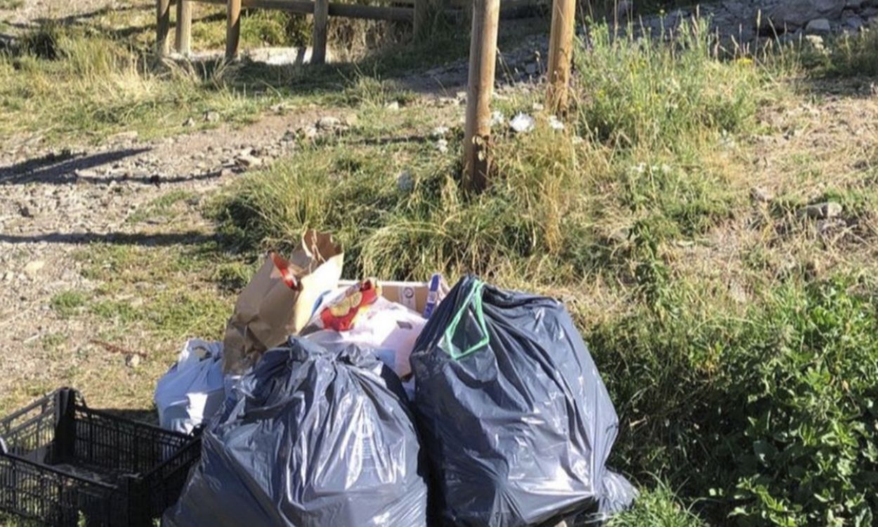 Brossa recollida en una de les sortides del grup Mountain Trashers