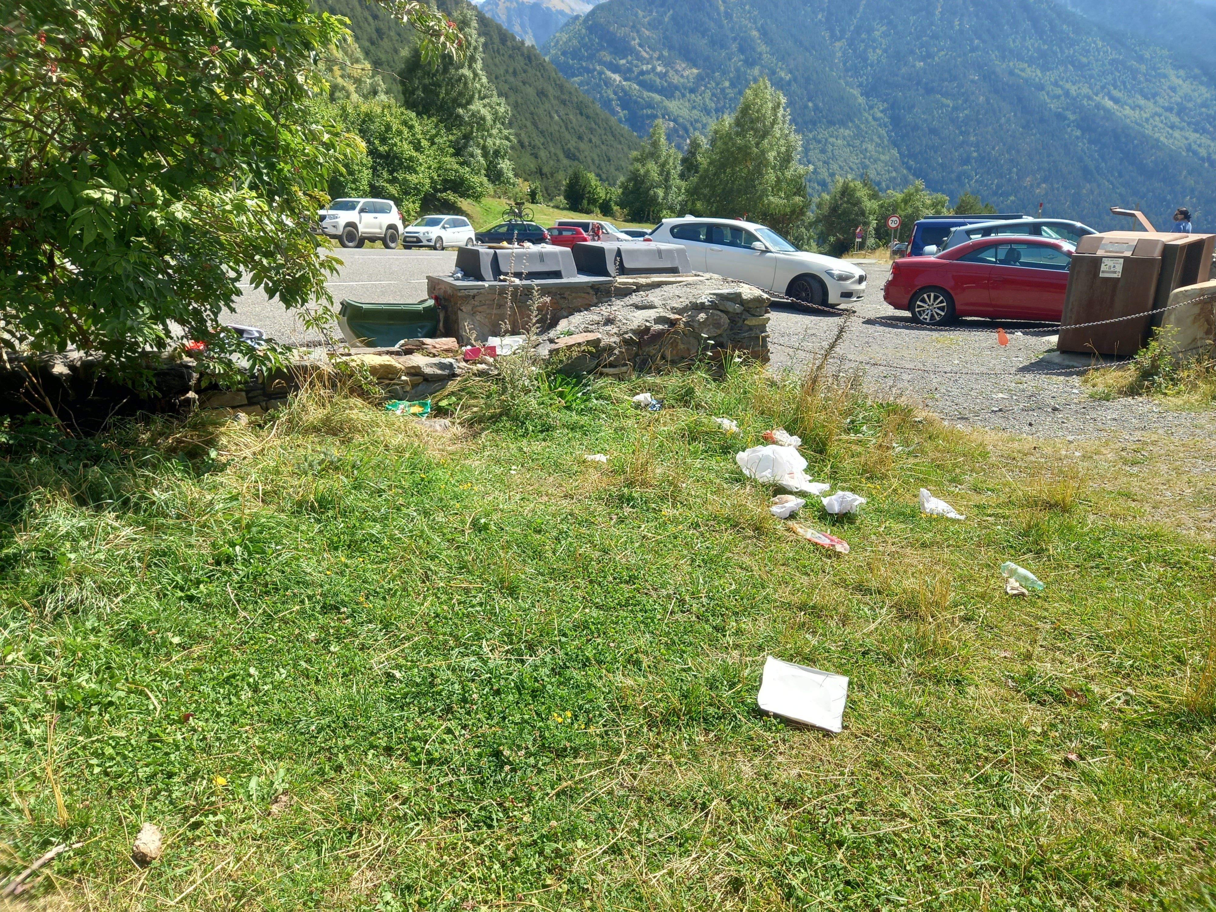 Restes de brossa a la gespa del berenador.