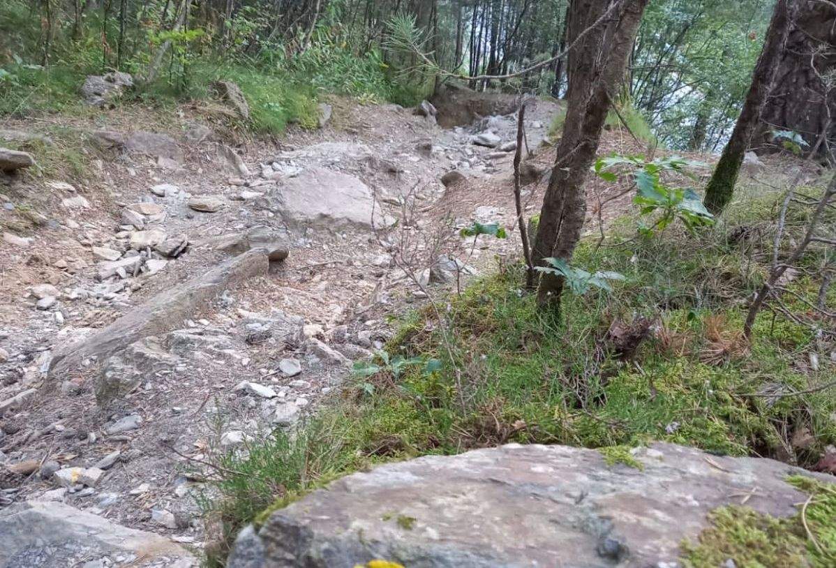 Un camí erosionat pel pas de les bicicletes de descens.
