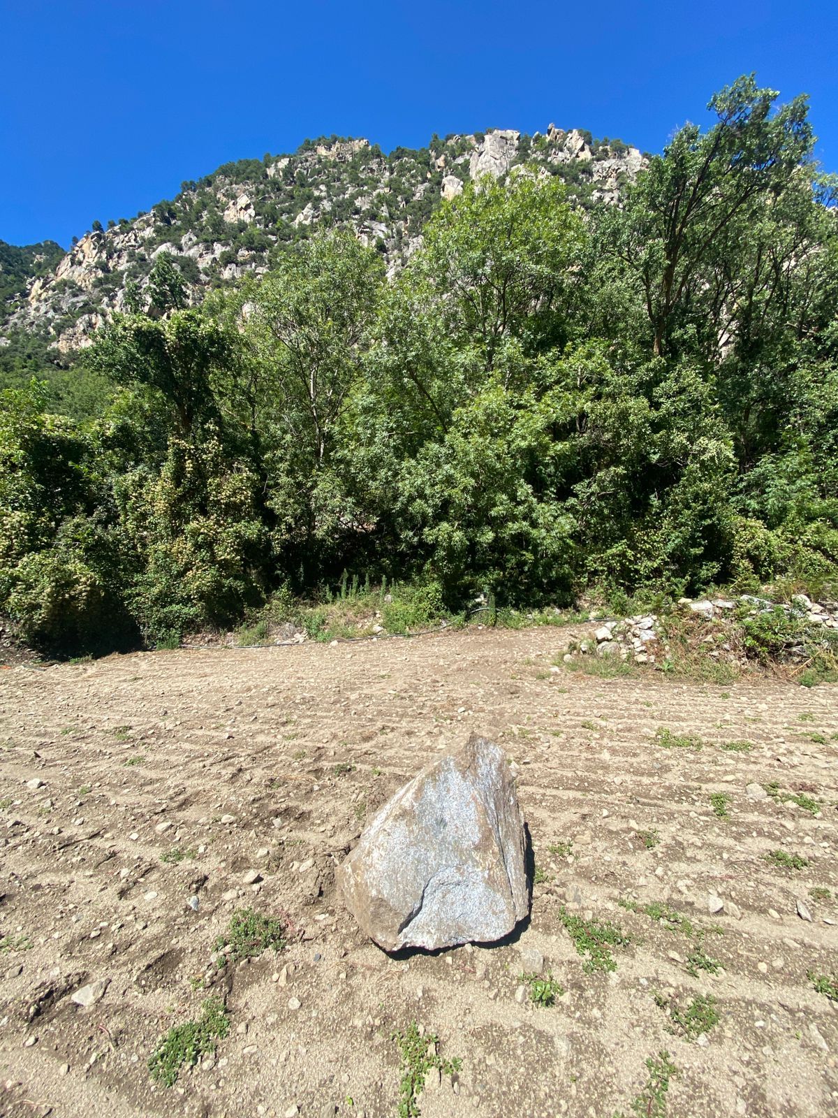 La pedra que ha acabat al bell mig d'un camp.