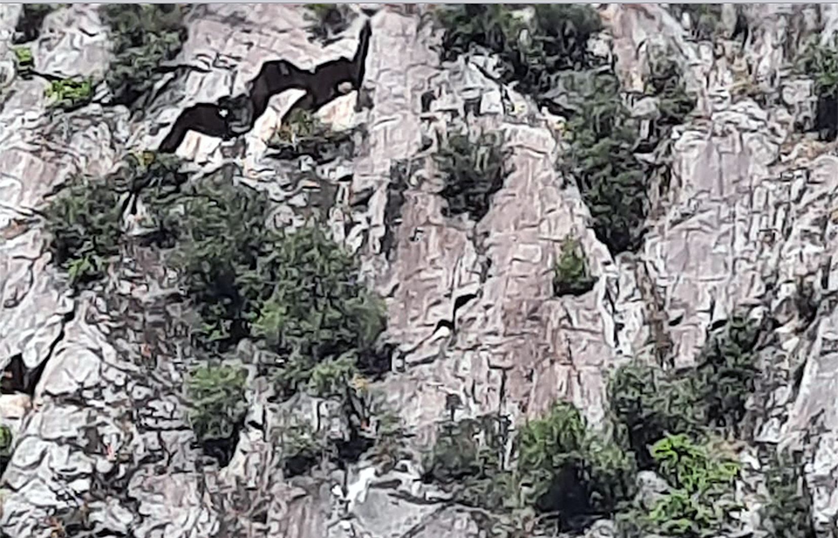 Punt de la muntanya on hi va haver la fractura.