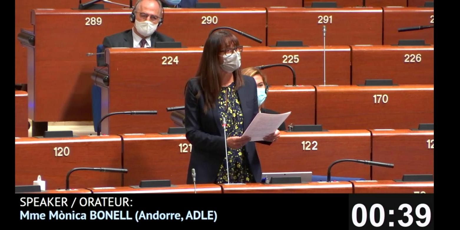 Mònica Bonell en la seva intervenció al Consell d'Europa