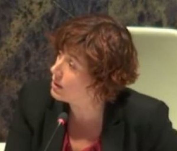 canolich mingorance semafor