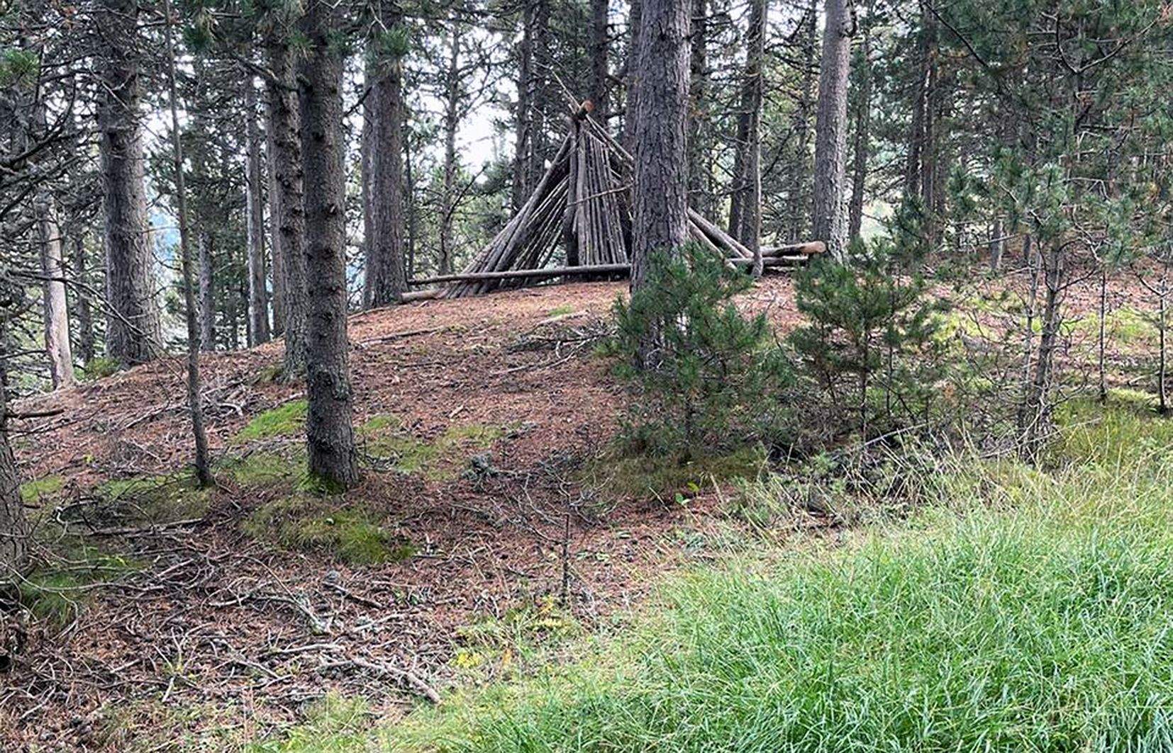 Indret per on segons els veïns ha de passar la línia d'alta tensió.