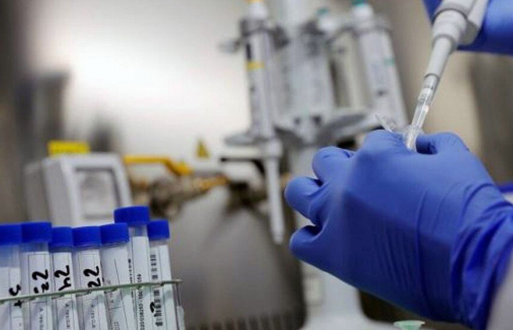 Analitzant mostres per detectar la Covid.