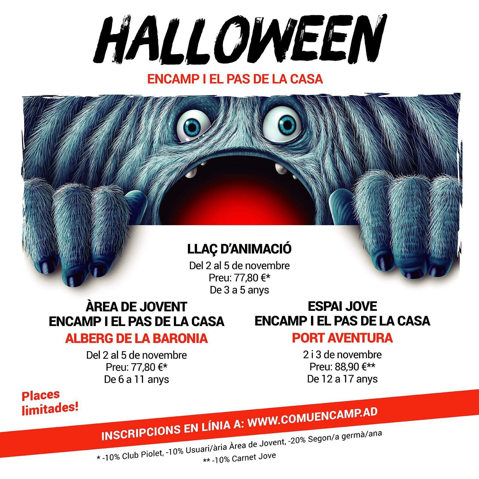 Cartell d'activitats del pont de Tots Sants