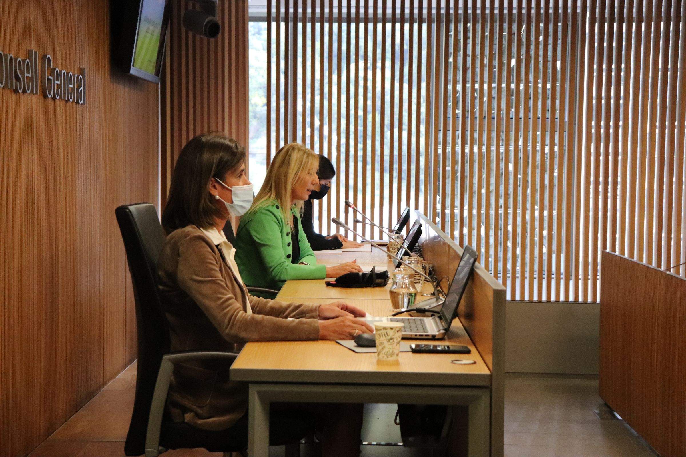 La ministra d'Educació, Ester Vilarrubla, a la comissió d'avui.