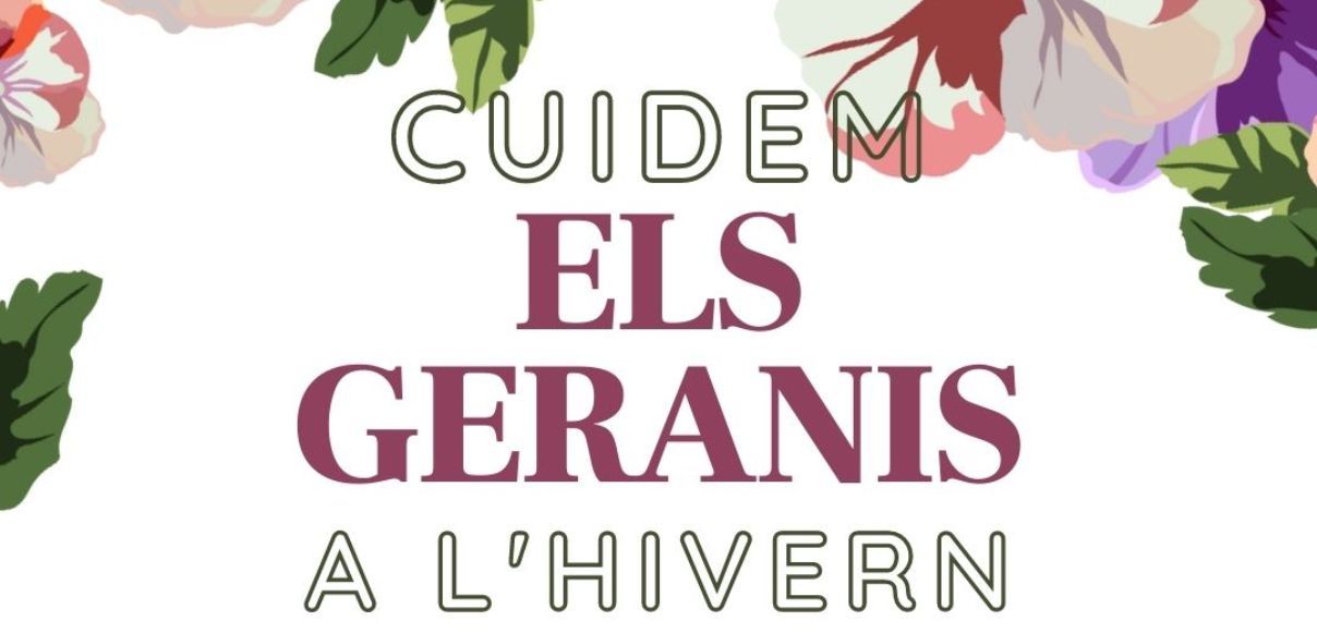 Cartell de la campanya.