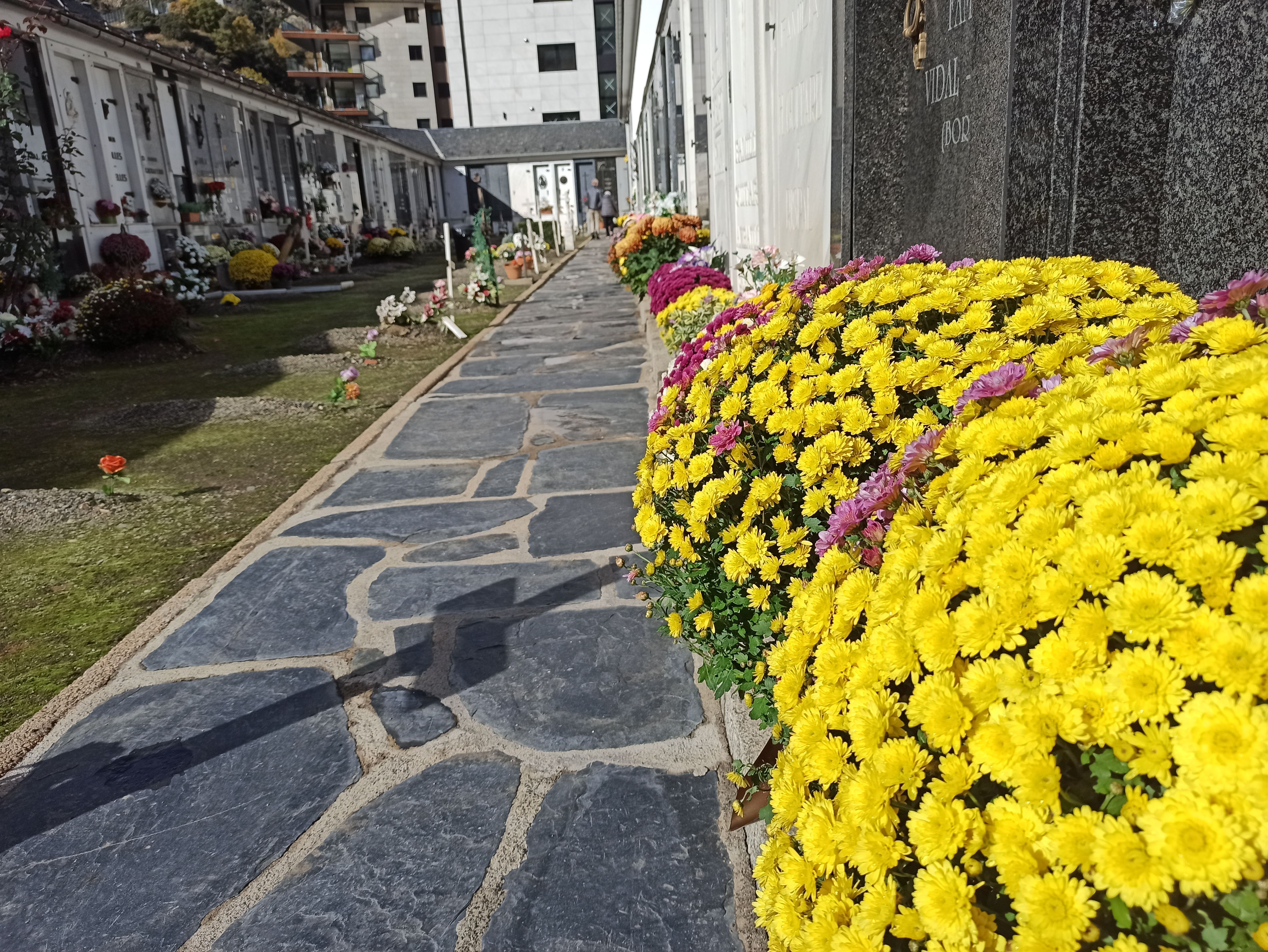Flors al cementiri del Pessebre, a Escaldes-Engordany