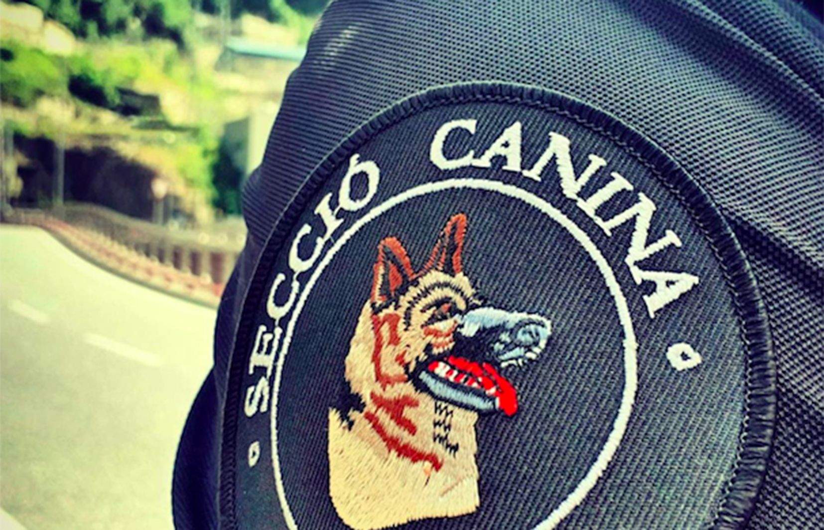 Uniforme de la secció canina.