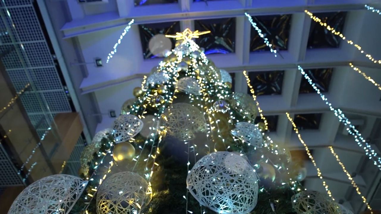 L'arbre de Nadal d'Illa Carlemany l'any passat.