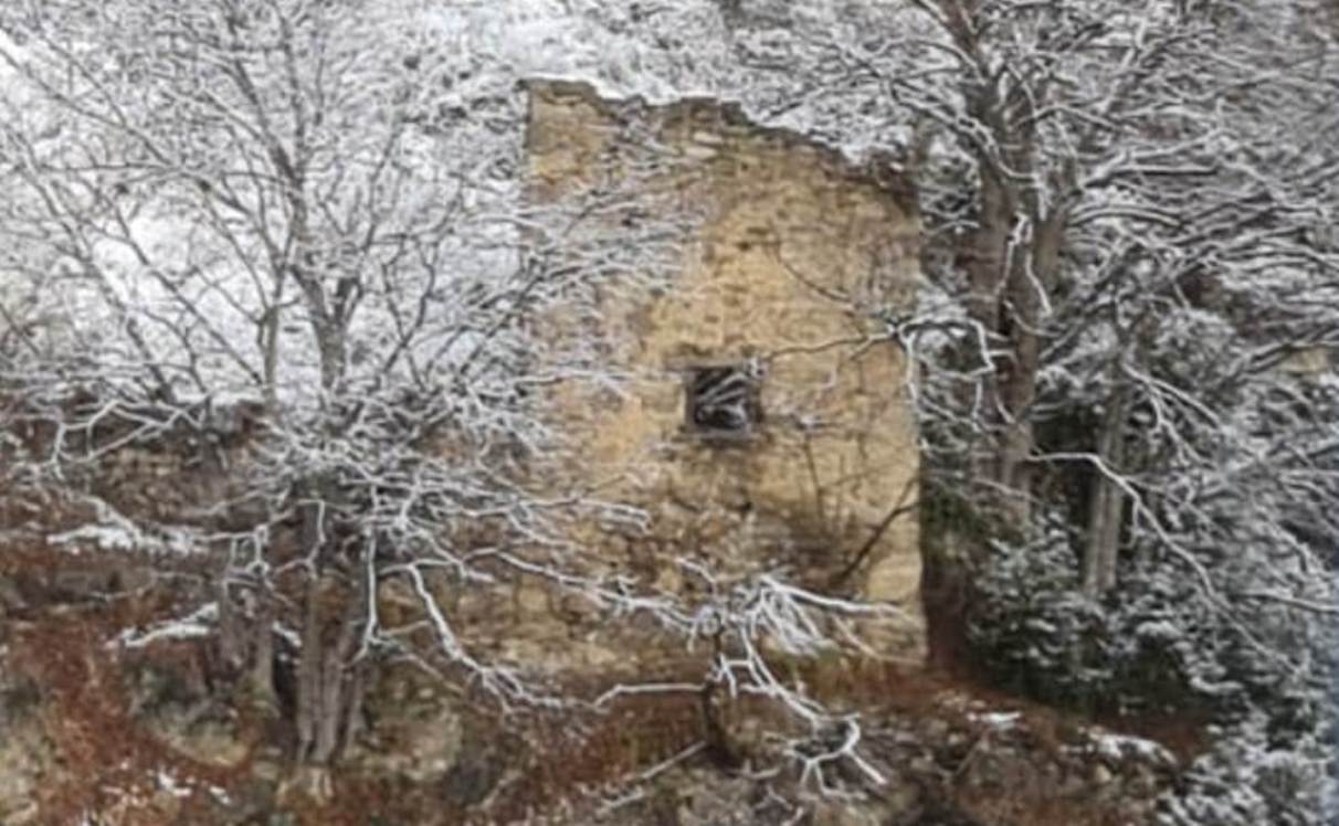 El colomer de Rocafort