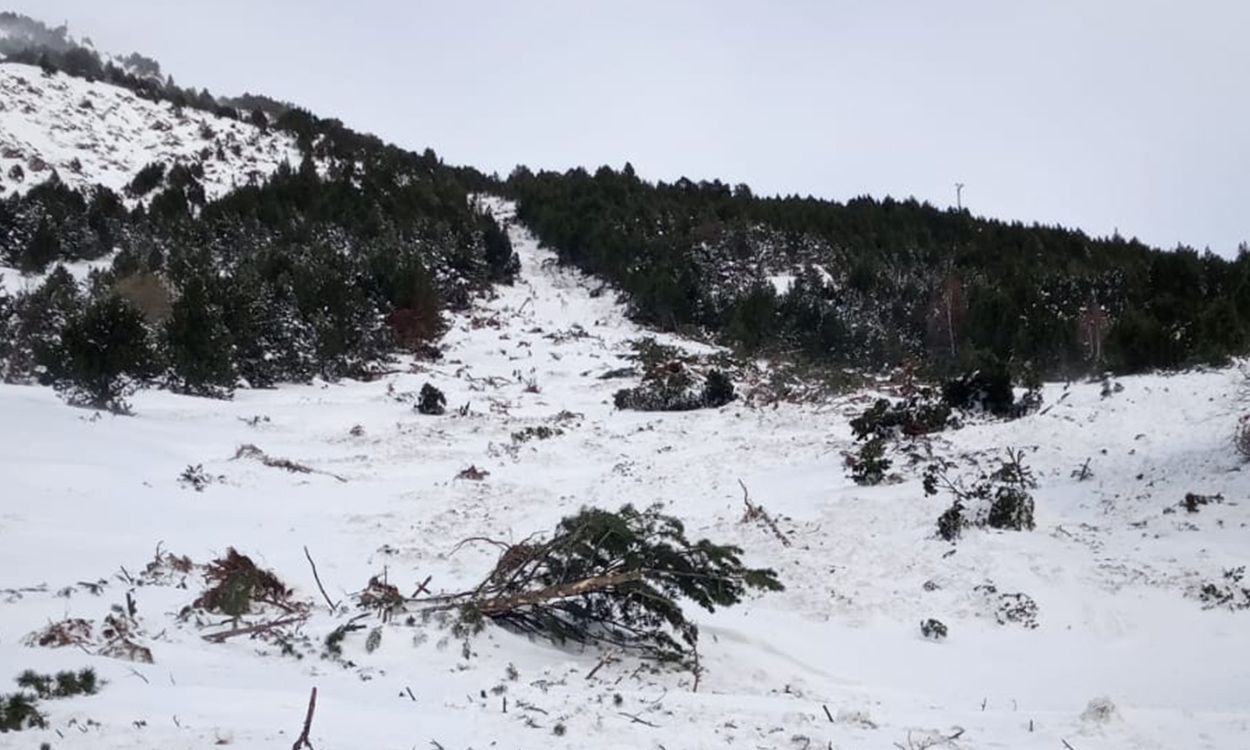 El rastre d'arbres i el camí que va seguir l'allau a Soldeu l'11 de desembre.