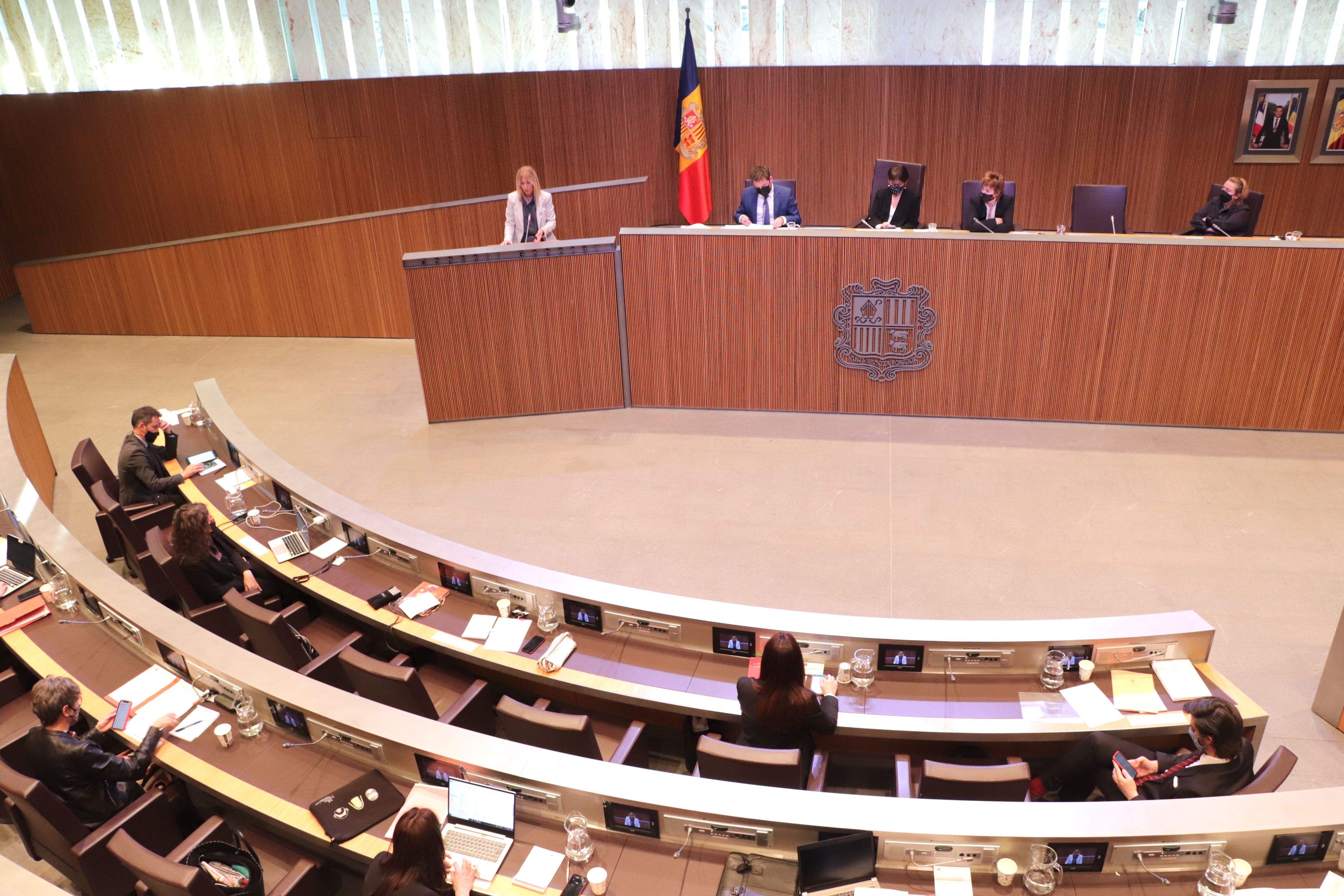 El ple ha donat suport per unanimitat a la pròrroga.