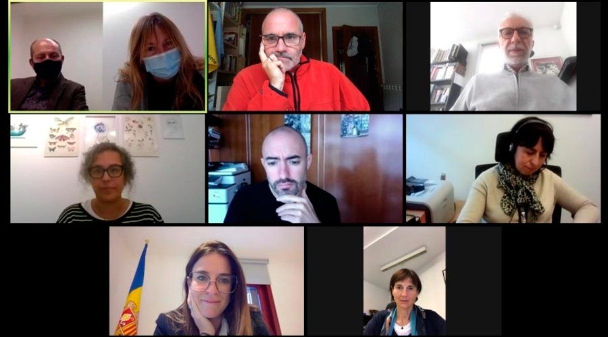 Reunió telemàtica del Consell Assessor de Patrimoni Cultural.