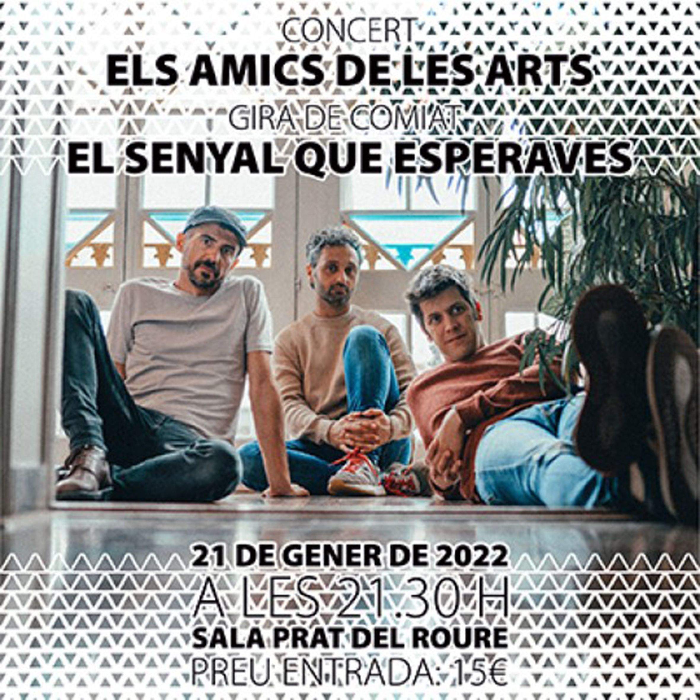 El cartell anunciador del concert del grup.