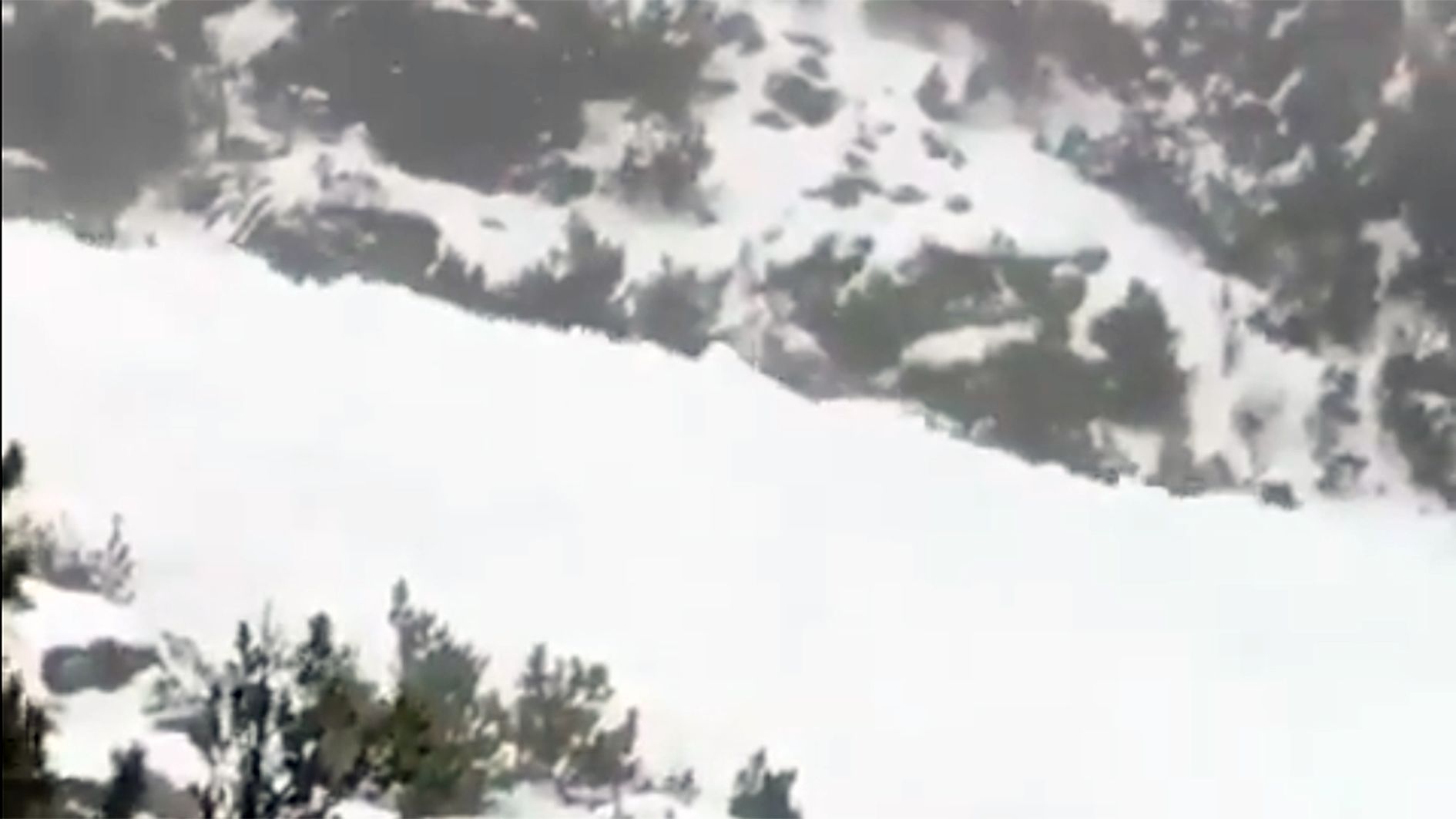 Allau controlada de les Planes.