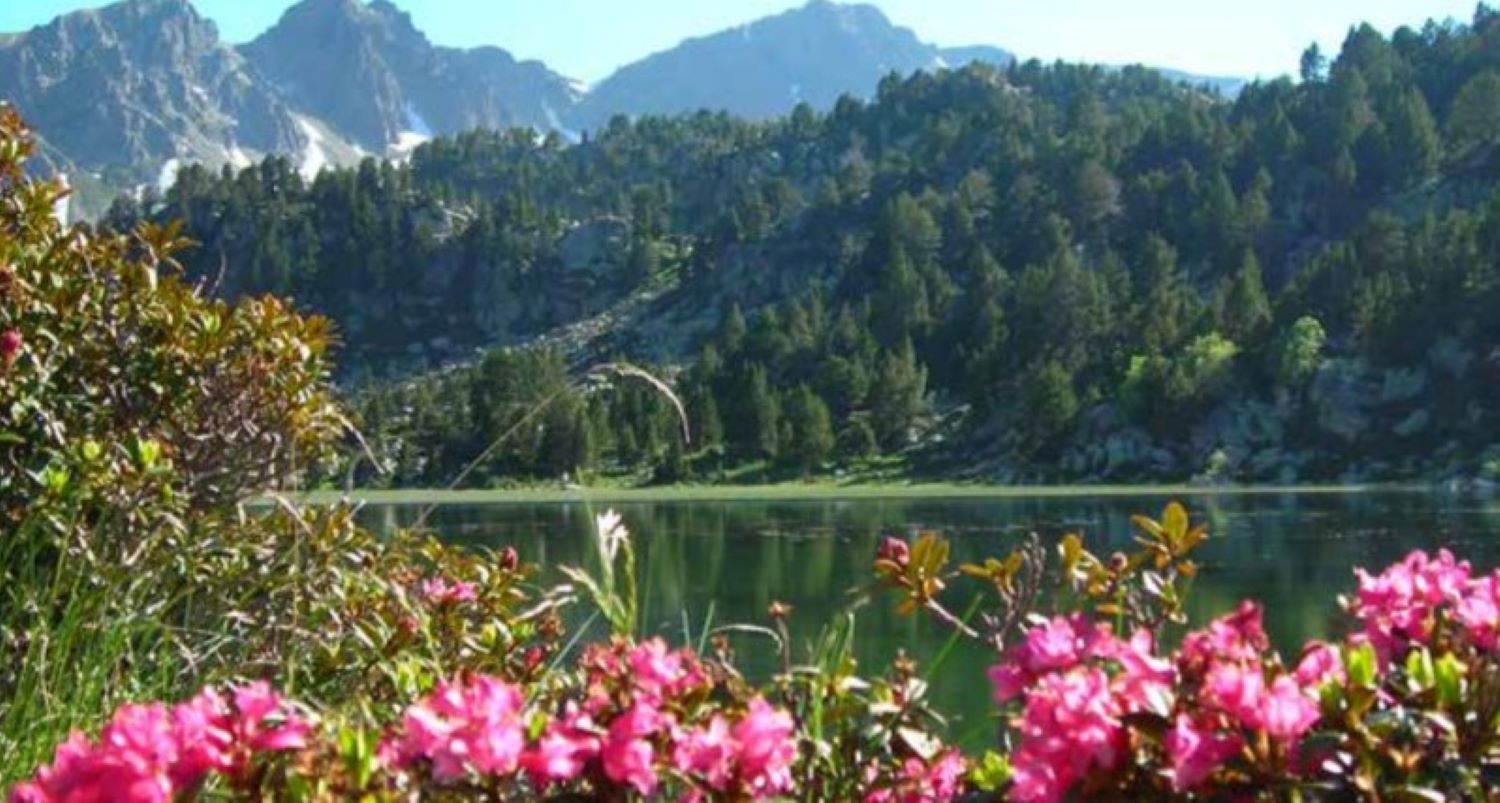 Un dels espais humits d'Andorra.