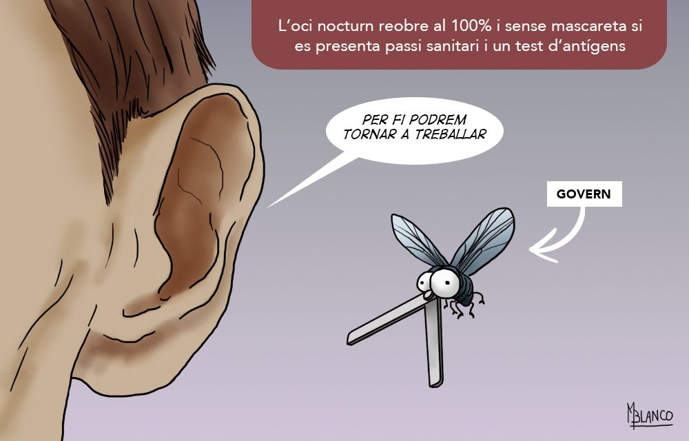 L'oci noturn es treu la mosca de l'orella.