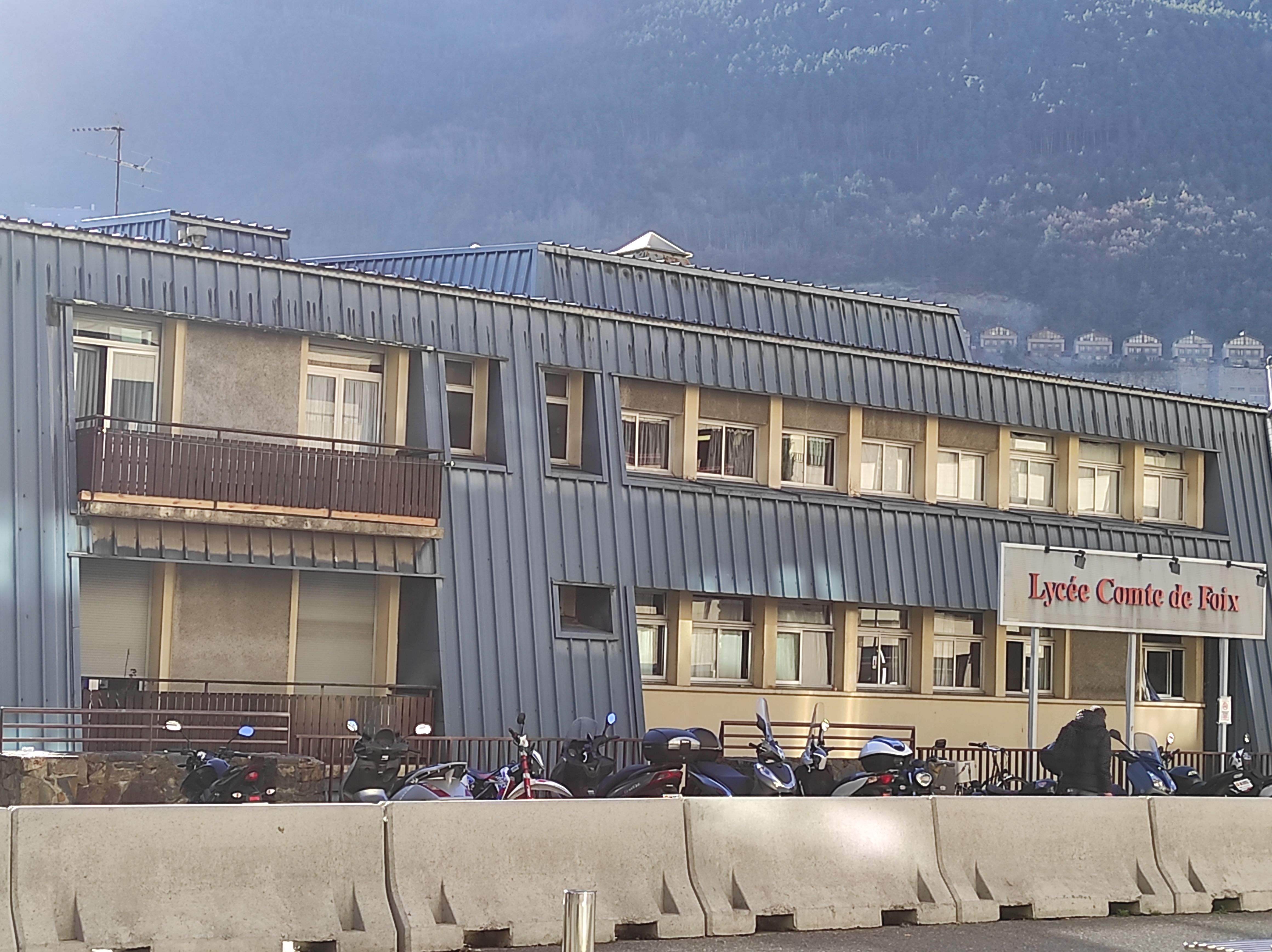 Una gran part dels funcionaris són docents del sistema educatiu francès.