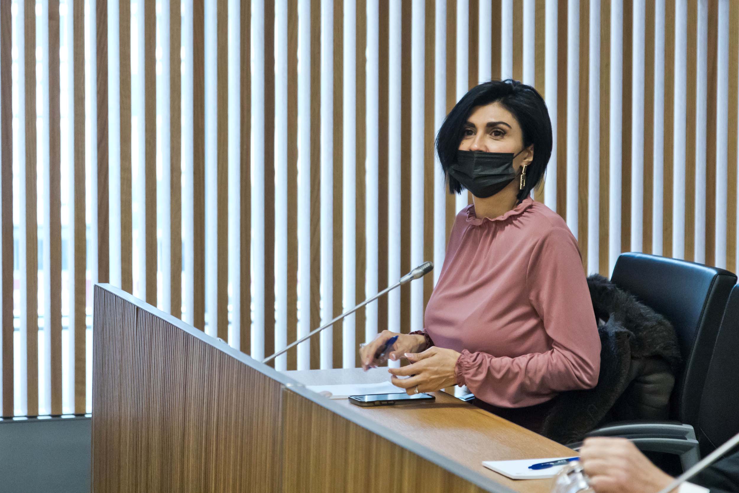 Carine Montaner durant la darrera comissió legislativa de Sanitat. Carine Montaner durant la darrera comissió legislativa de Sanitat.