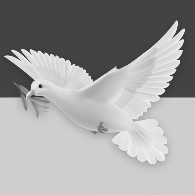 182502275 651674779376144 603832180686372160 n