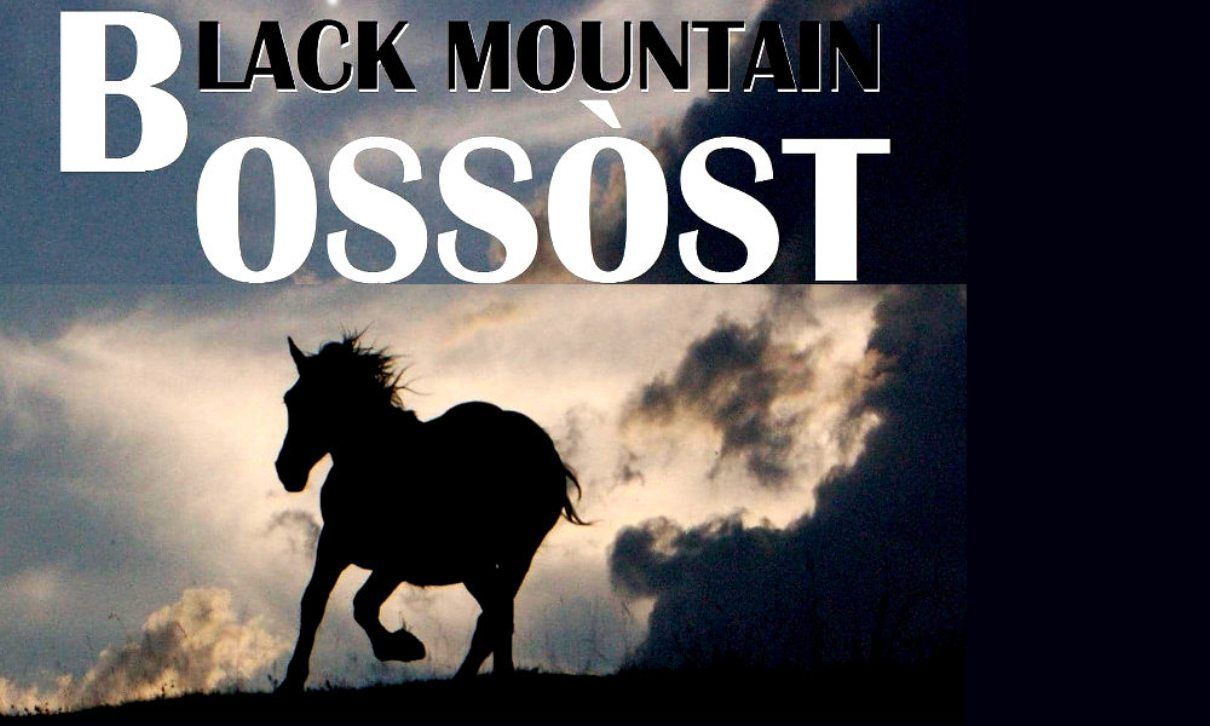 Cartell de la darrera edició del festival.