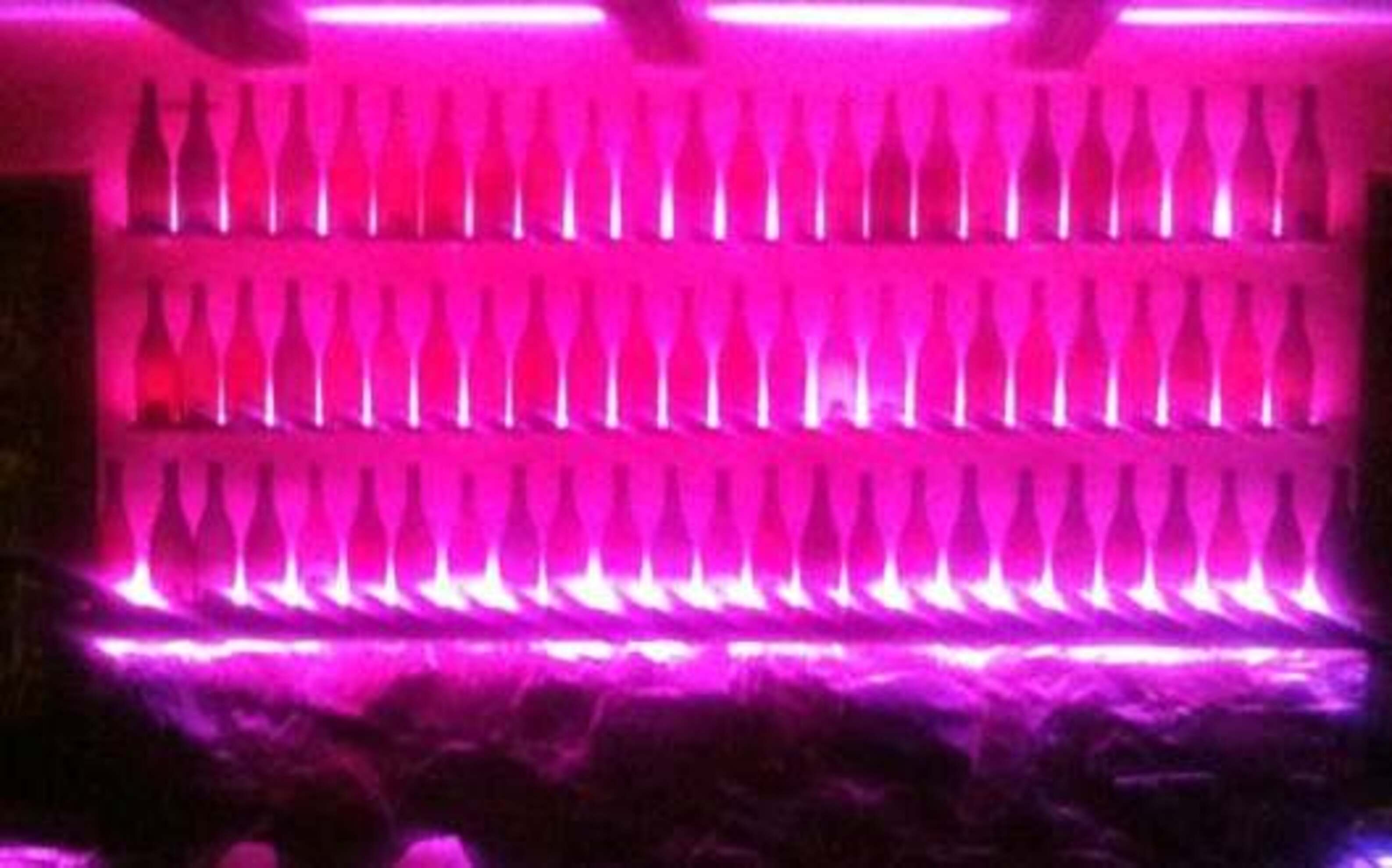 Ampolles en el local on van passar els fets.