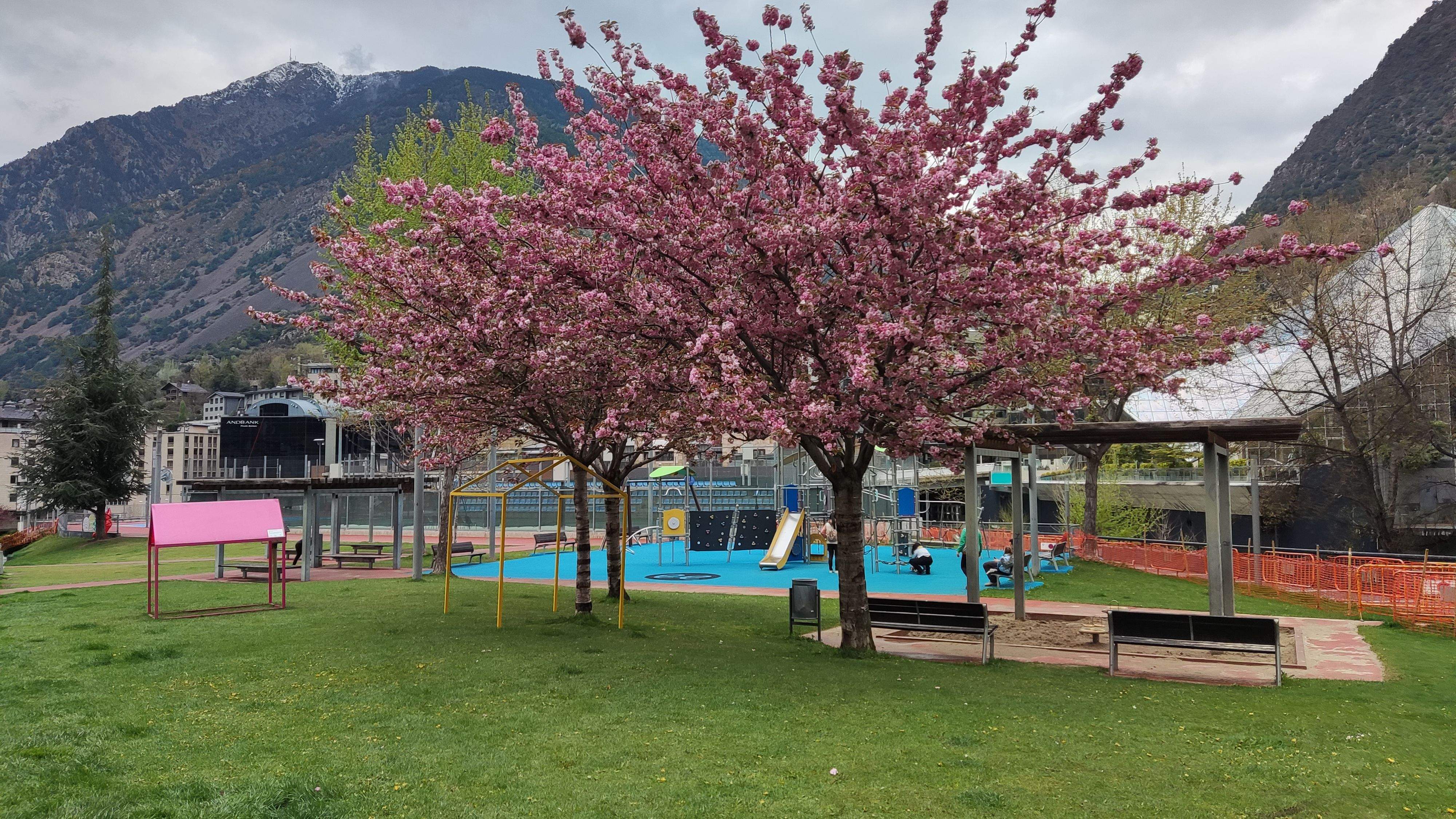 Es planten ornaments florals per afavorir els pol·linitzadors.